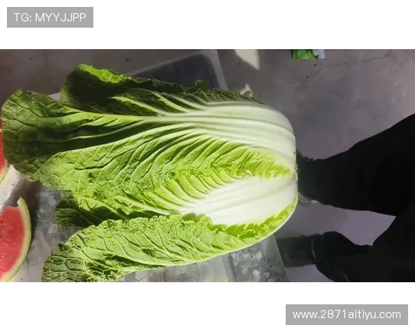 全面解析白菜资源收集的有效方法与技巧